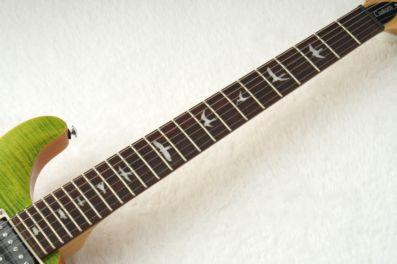 Paul Reed Smith(PRS) SE CUSTOM 24 ～Eriza Verde～ #CTIG005737