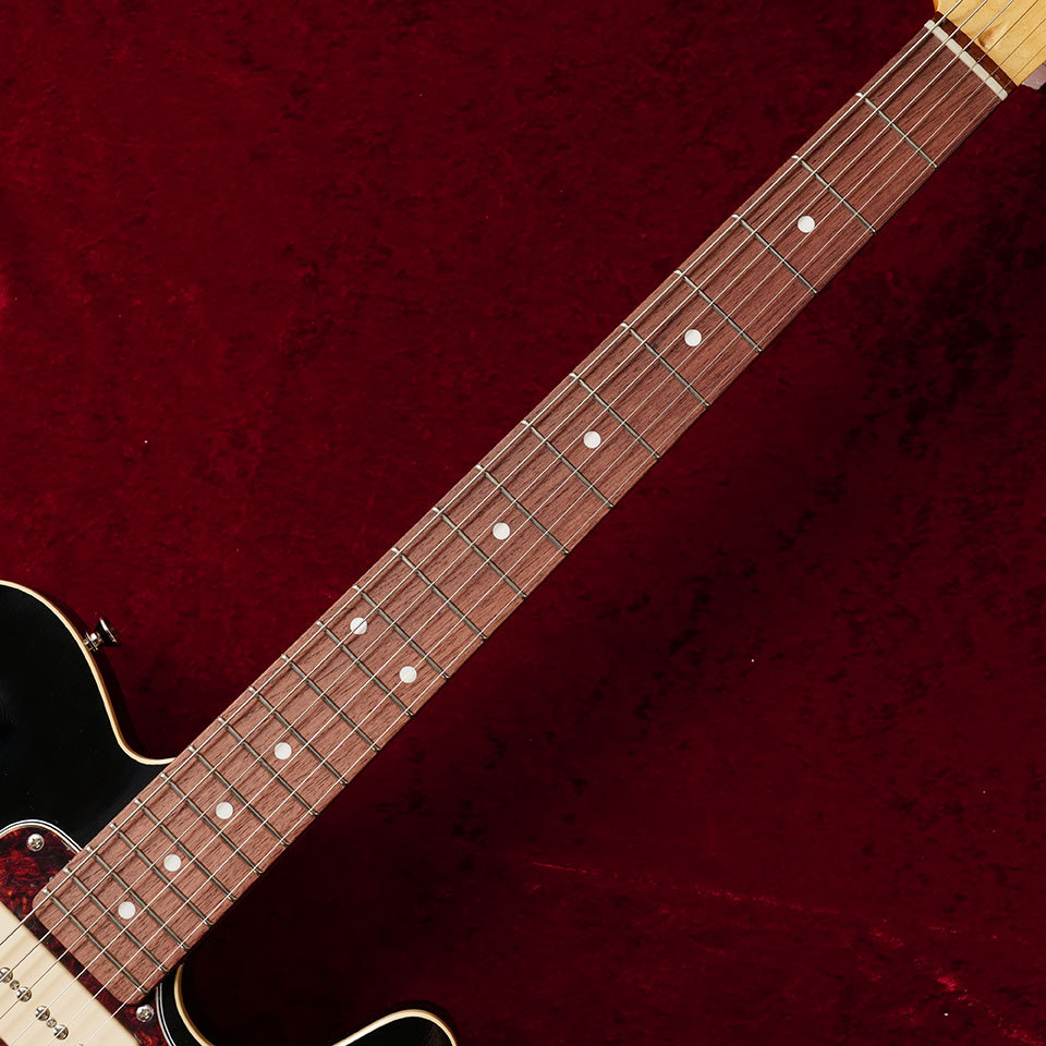 Moon Reggae Master RM-DX II BK/R Cr（新品）【楽器検索