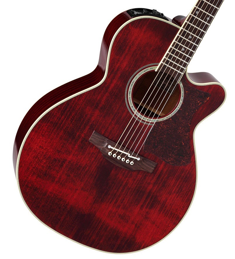 Takamine DMP551C WR エレアコ アコースティックギター 【WEBSHOP】（新品/送料無料）【楽器検索デジマート】