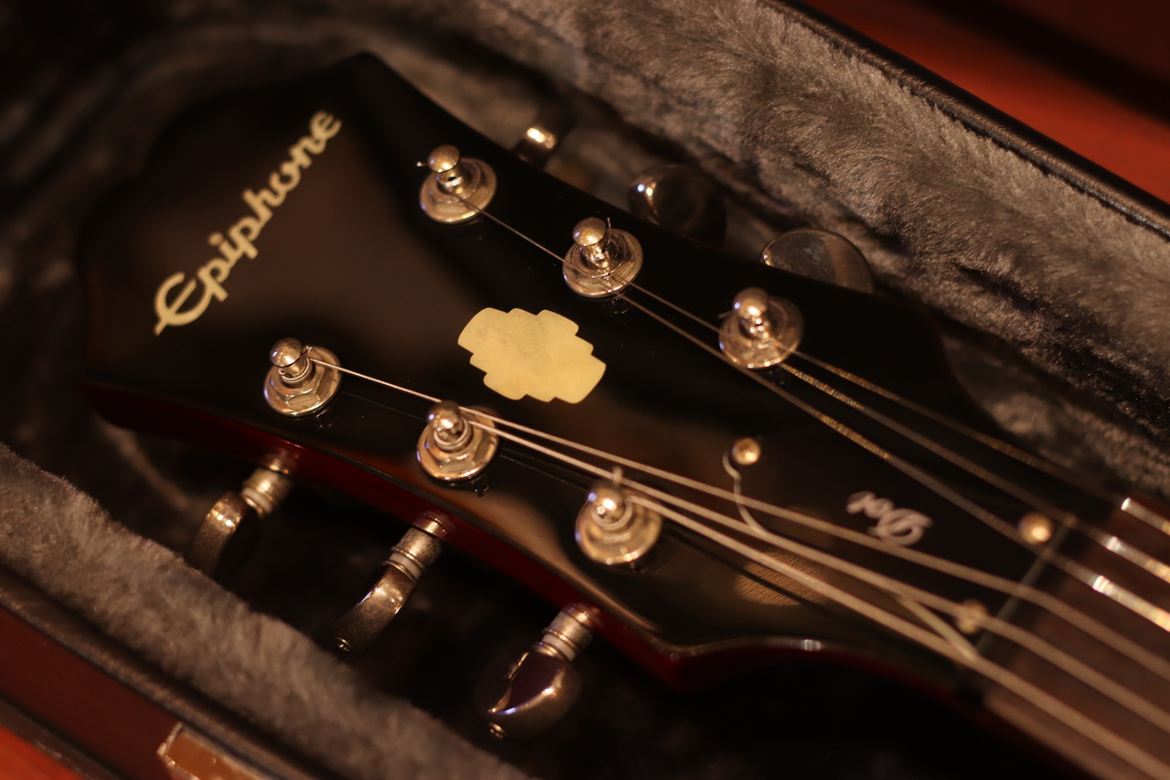 Epiphone DOT Cherry 2016 w/純正ハードケース（中古）［デジマート