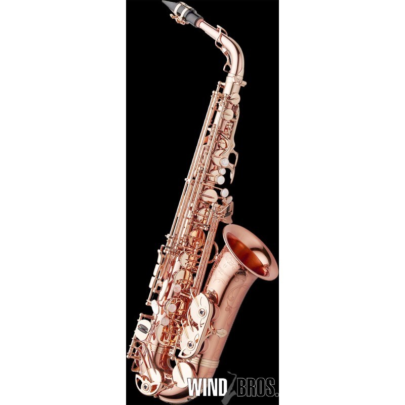YANAGISAWA 【受注停止中】 アルトサックス ヤナギサワ A-WO37PGP