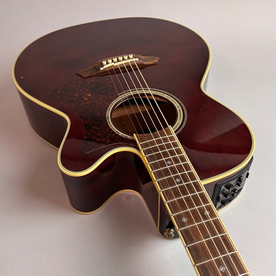 Takamine DMP551C-DC WR（中古/送料無料）【楽器検索デジマート】