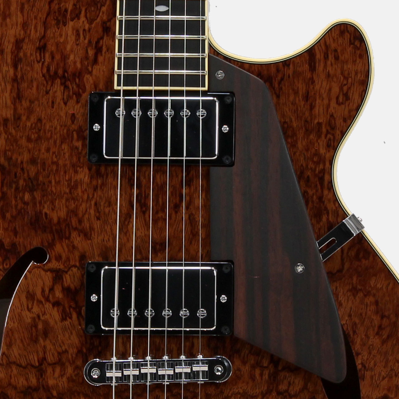 Kikuchi Guitars JS15 / Bubinga【2025 Limited Model】（新品/送料