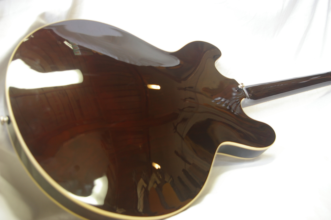 Cort Source 335（中古）【楽器検索デジマート】