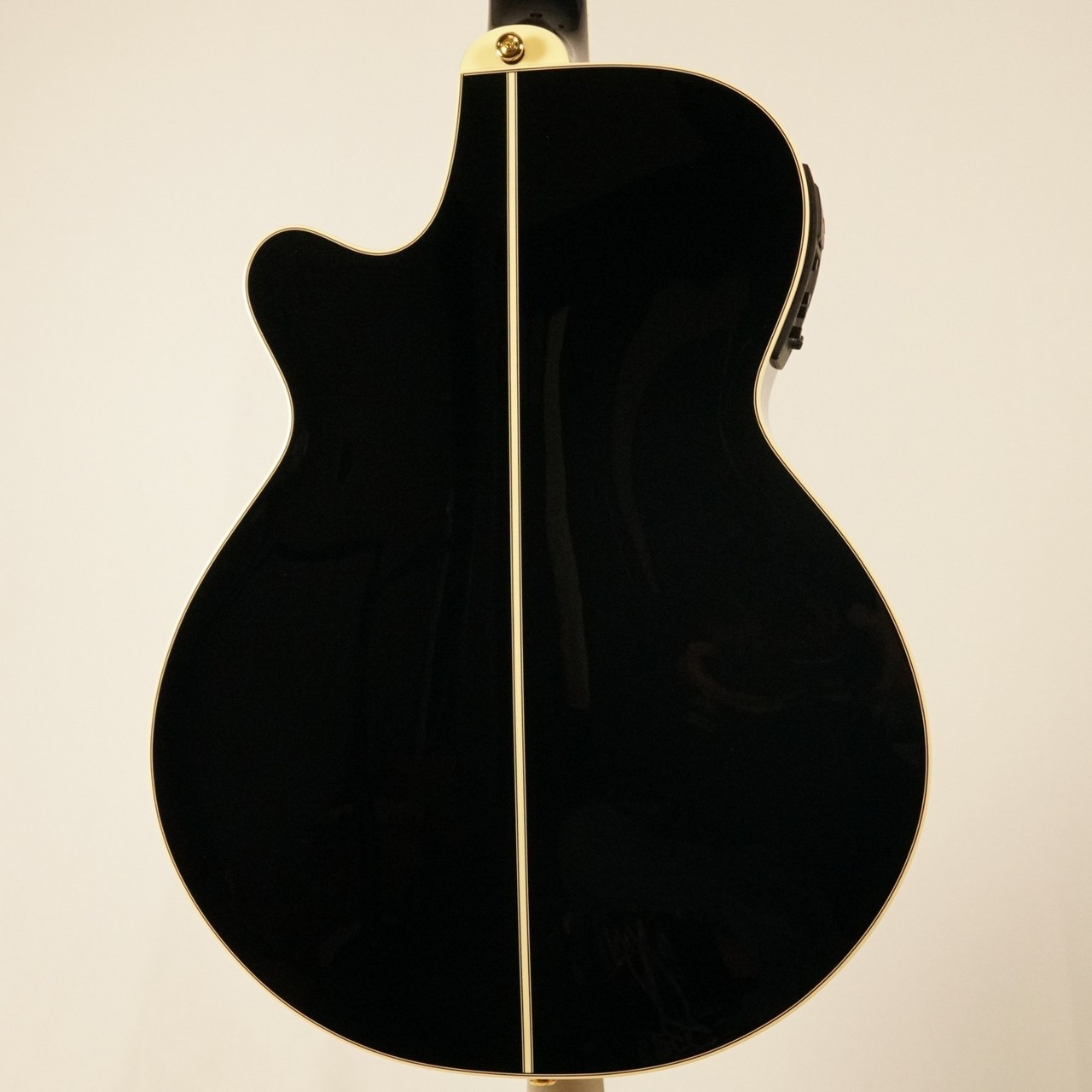 Takamine TSP100 KT-N #63050322【限定10本】（新品）【楽器検索