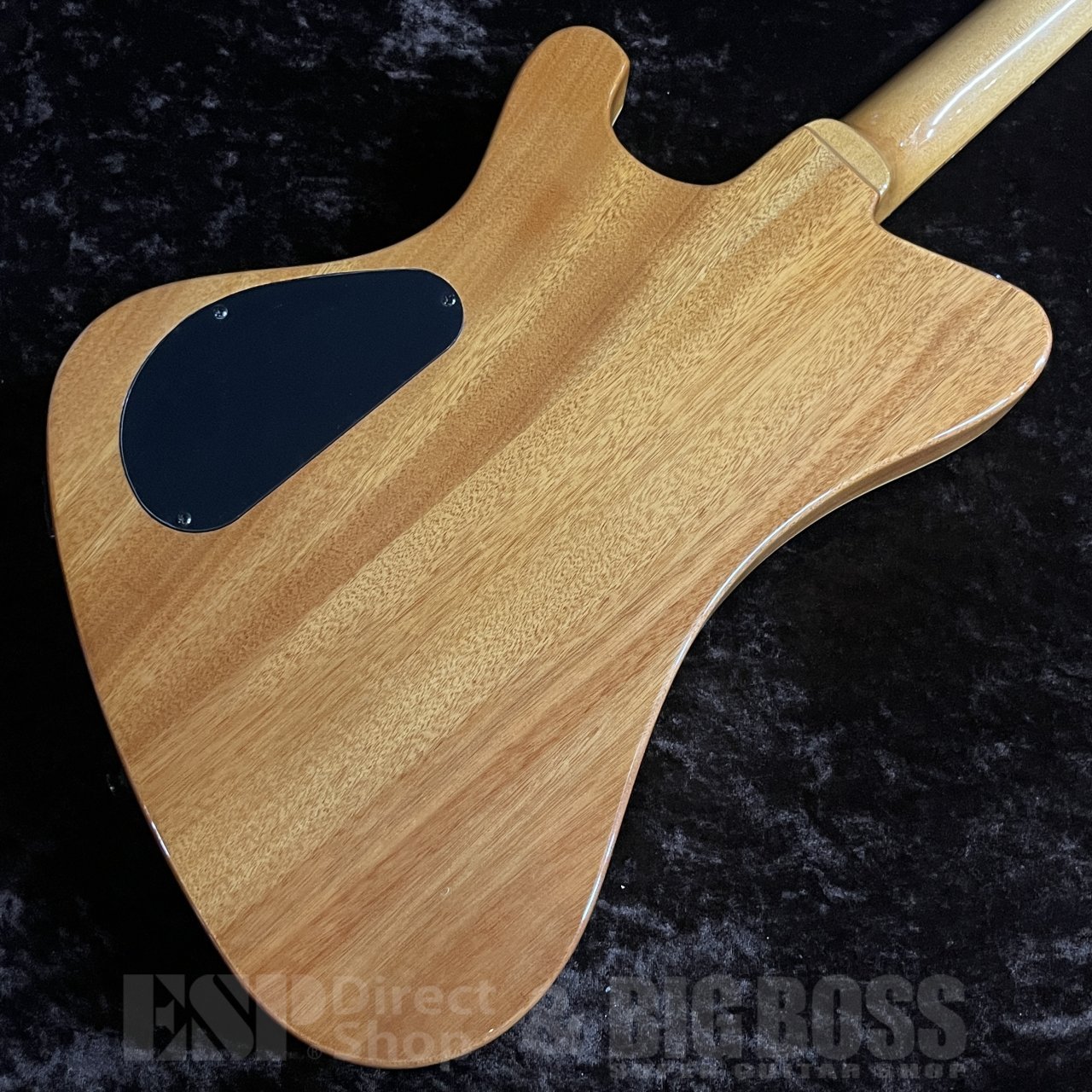 GrassRoots G-一角【04 Limited Sazabys RYU-TA Signature Model