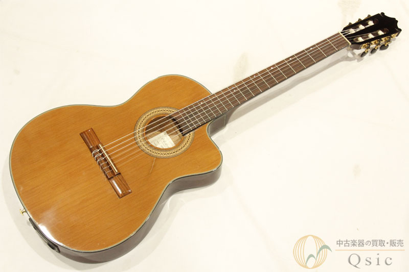 2025年最新】Yahoo!オークション -ibanez ギターケースの中古品