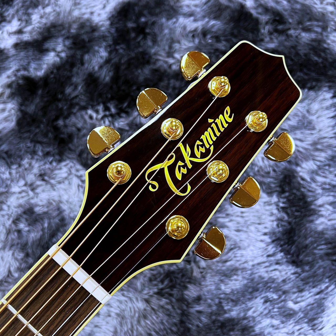 Takamine FPT531KC N 【2025年製】【日本製】【エレアコ】【ワイルドな