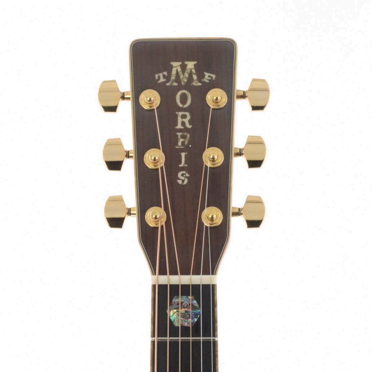 Morris TF-LTD Natural 【福岡店】（中古/送料無料）【楽器検索