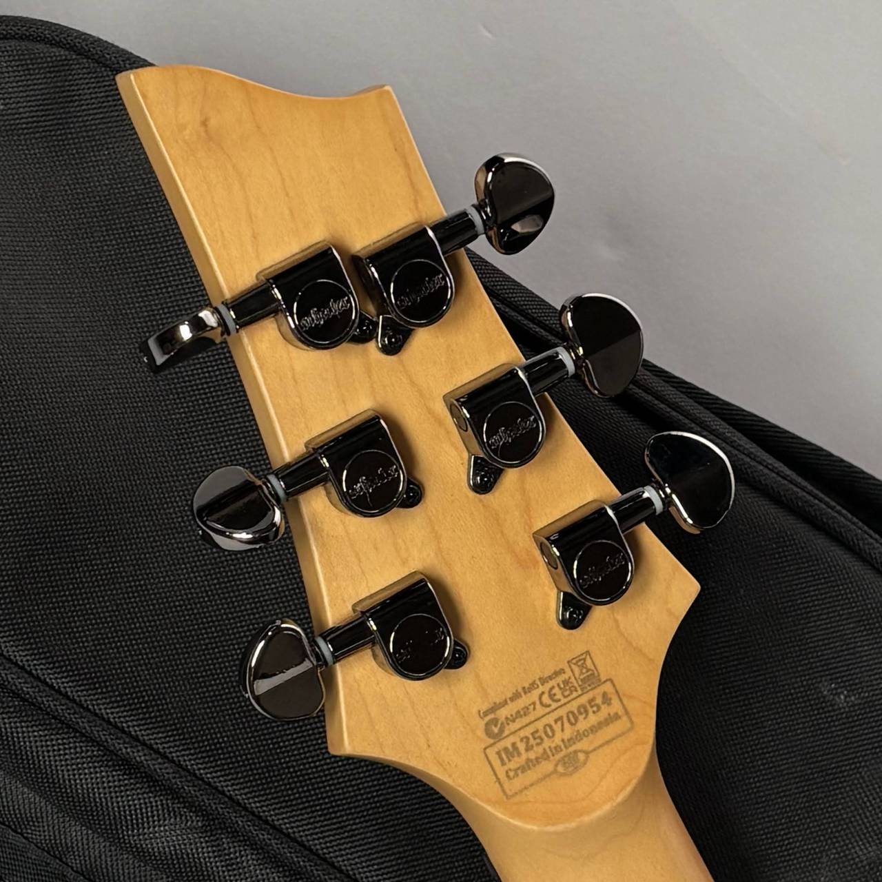 SCHECTER AD-DEMON-6 중고 사진 10