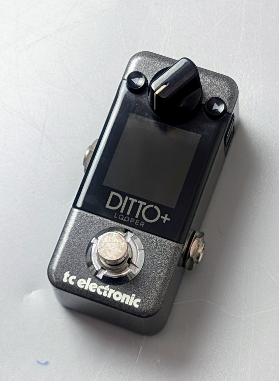 tc electronic DITTO+ LOOPER（中古）【楽器検索デジマート】