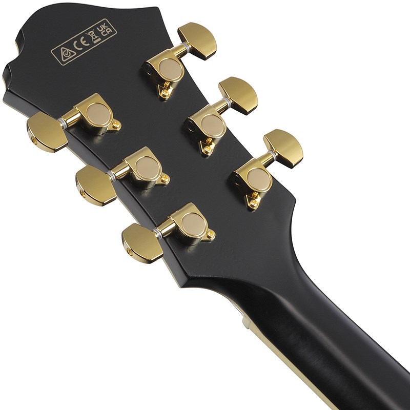 Ibanez ARTSTAR PM3C-BKL (Black Low Gloss) [Pat Metheny Model] [SPOT  MODEL]（新品）【楽器検索デジマート】