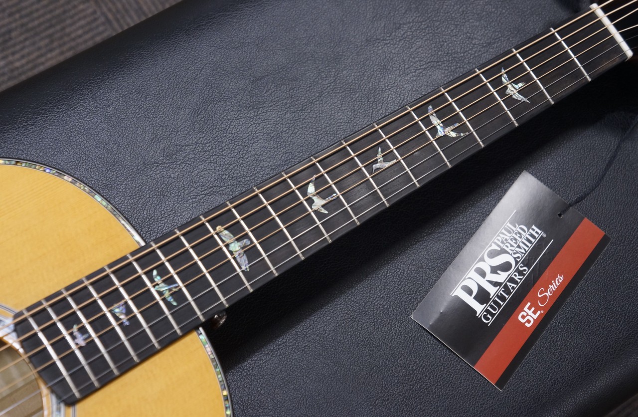 Paul Reed Smith(PRS) SE Parlor P50E / Natural with Black Gold