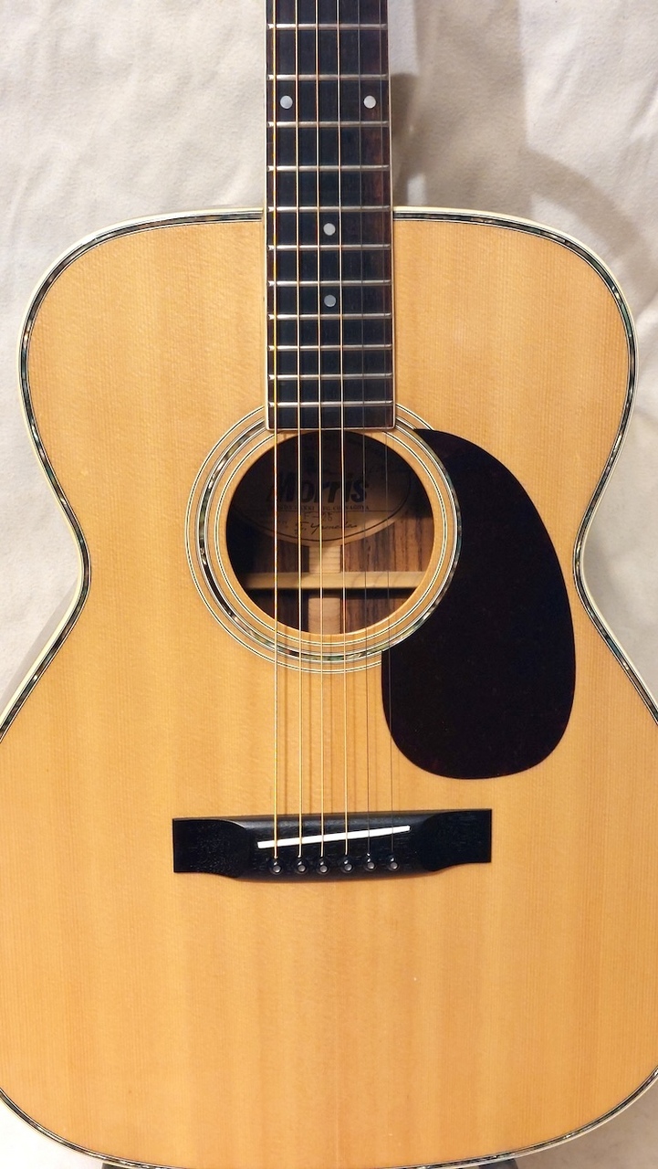 Morris F-25（中古）【楽器検索デジマート】