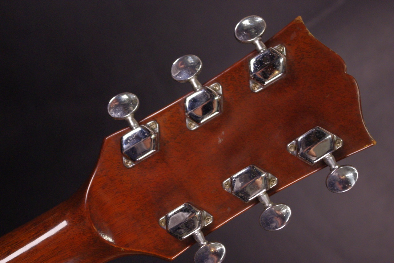 Greco 101（ビンテージ）【楽器検索デジマート】