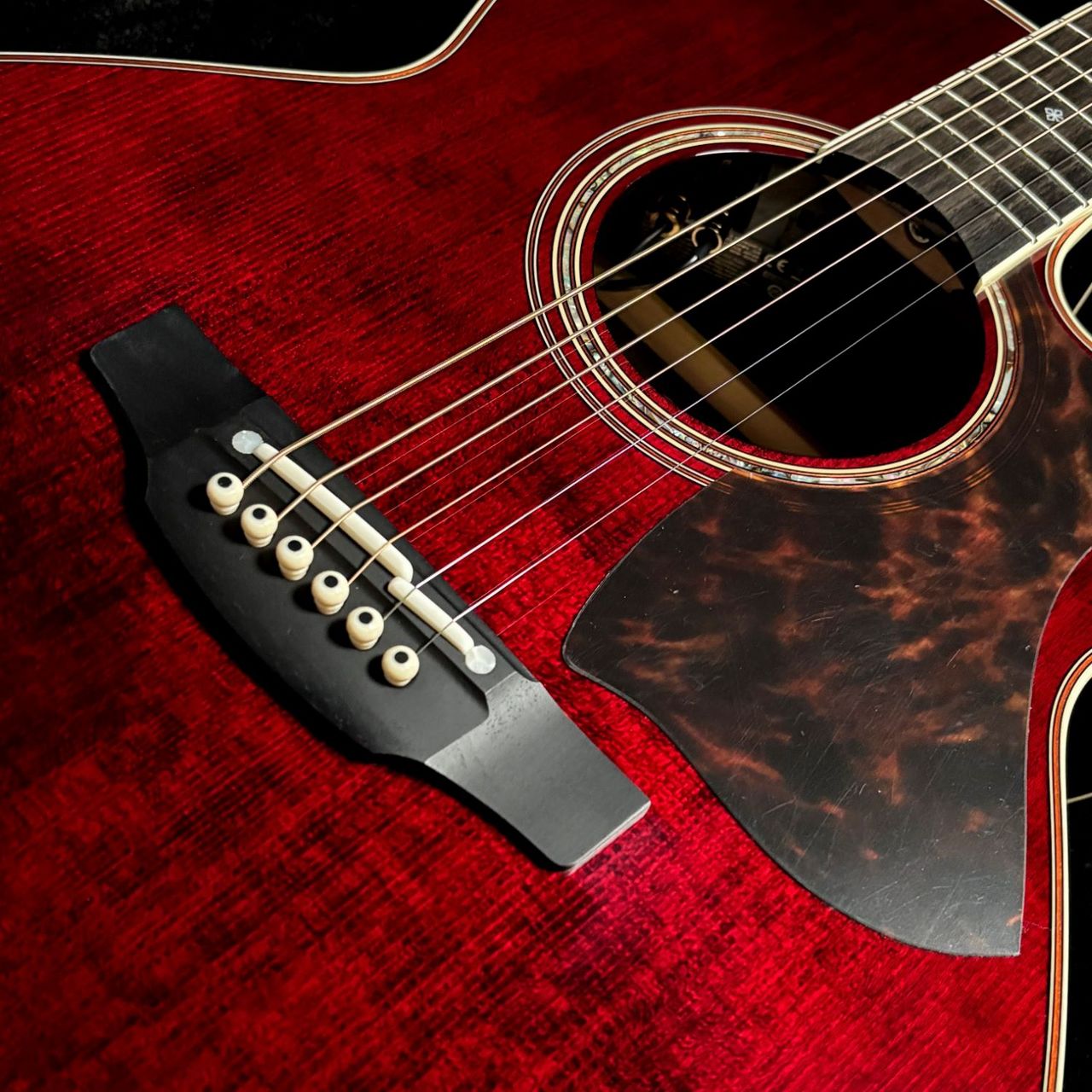 Takamine DMP50S WR【現物画像】エレアコギター セミハードケース付属