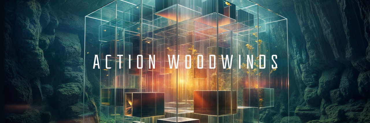 NATIVE INSTRUMENTS Action Woodwinds 【代引き不可】(新品/送料無料)【楽器検索デジマート】