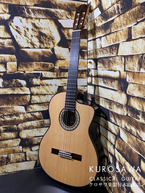Takamine タカミネ DMP370NC 【エレガット】【日本総本店2F 在庫品