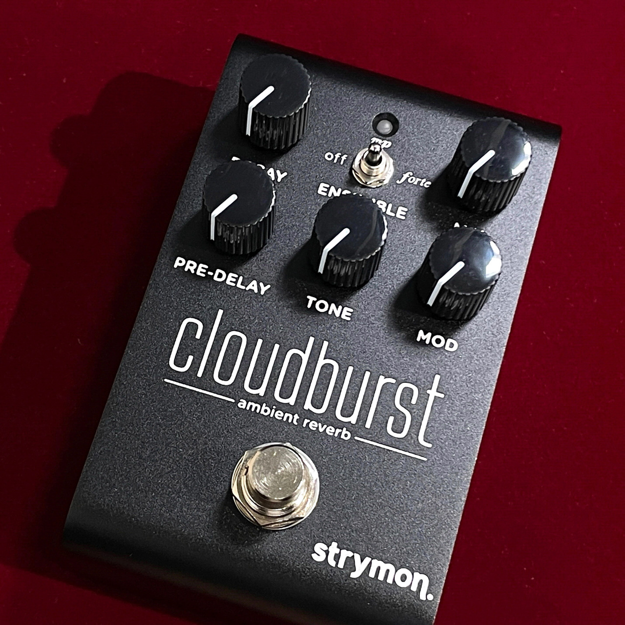 strymon Cloudburst Midnight Edition 【完全限定カラー】【当店入荷1