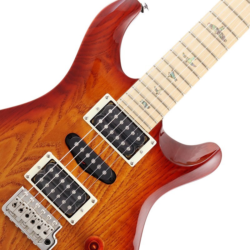 Paul Reed Smith(PRS) SE Swamp Ash Special (Vintage Sunburst)（新品