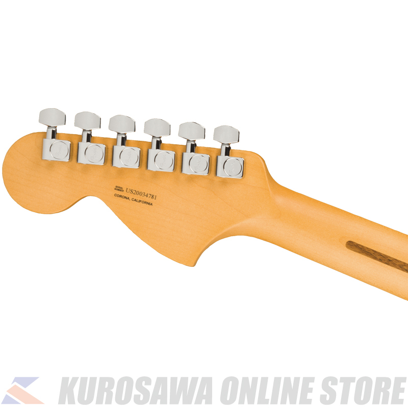 Fender American Professional II Telecaster Deluxe Rosewood