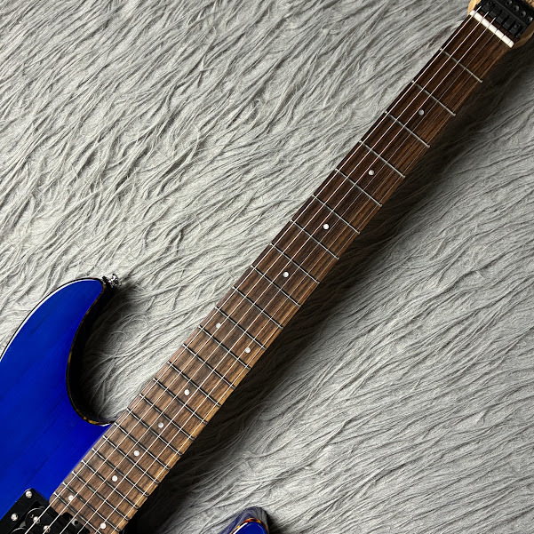 SCHECTER SCHECTER/シェクター JOLシリーズ OL-NV-HL DBL 【限定生産