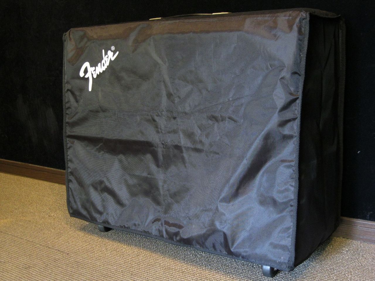 Fender 1976 Twin Reverb Silverface AA270 100W with JBL D120F 