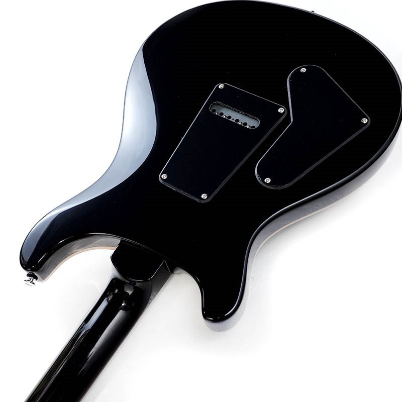 Paul Reed Smith(PRS) SE Custom 24 (Faded Gray Black Burst)（新品