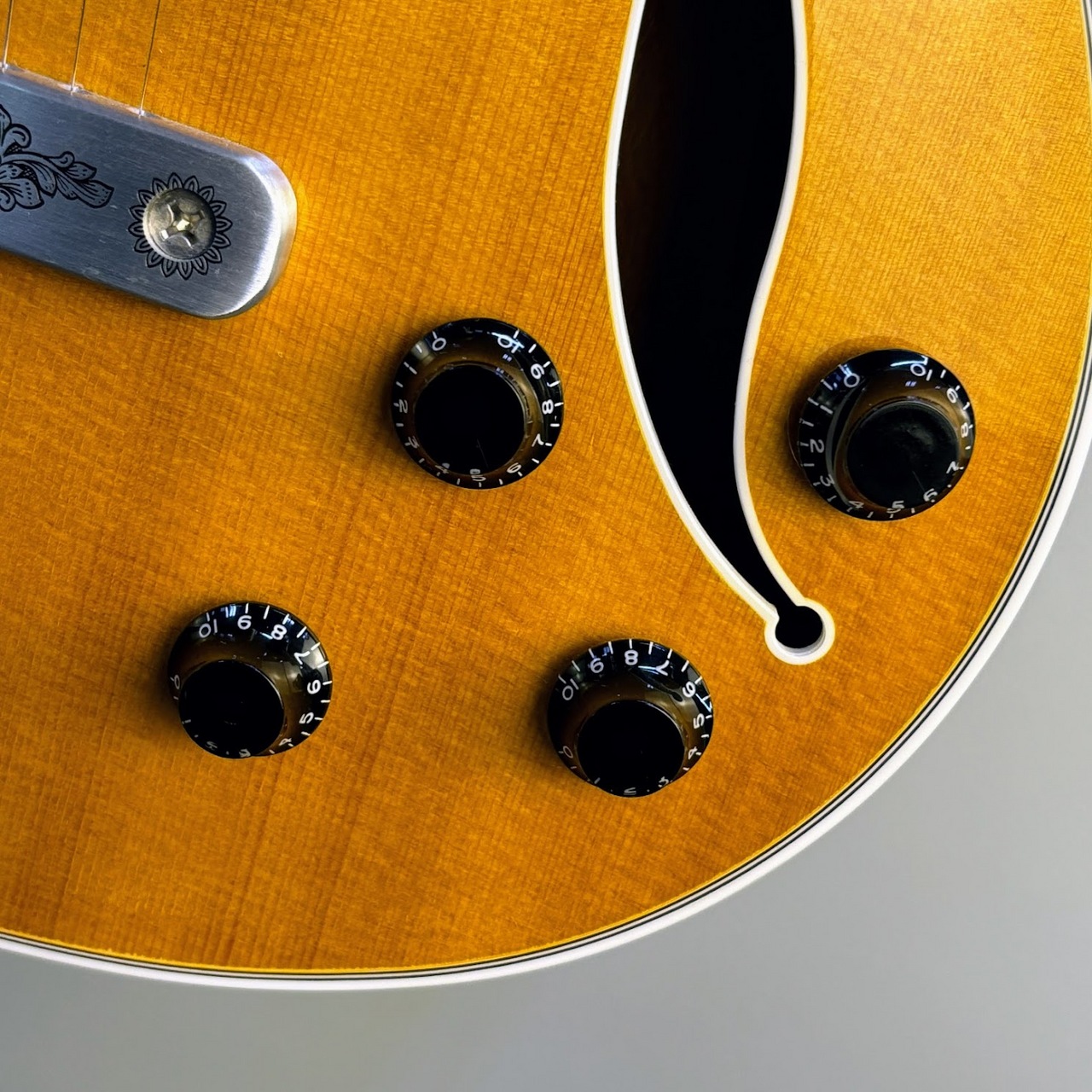 The Samick エレキギター フルホロウボディ The Samick エレキギター フルホロウボディ Amazon | Groteフル