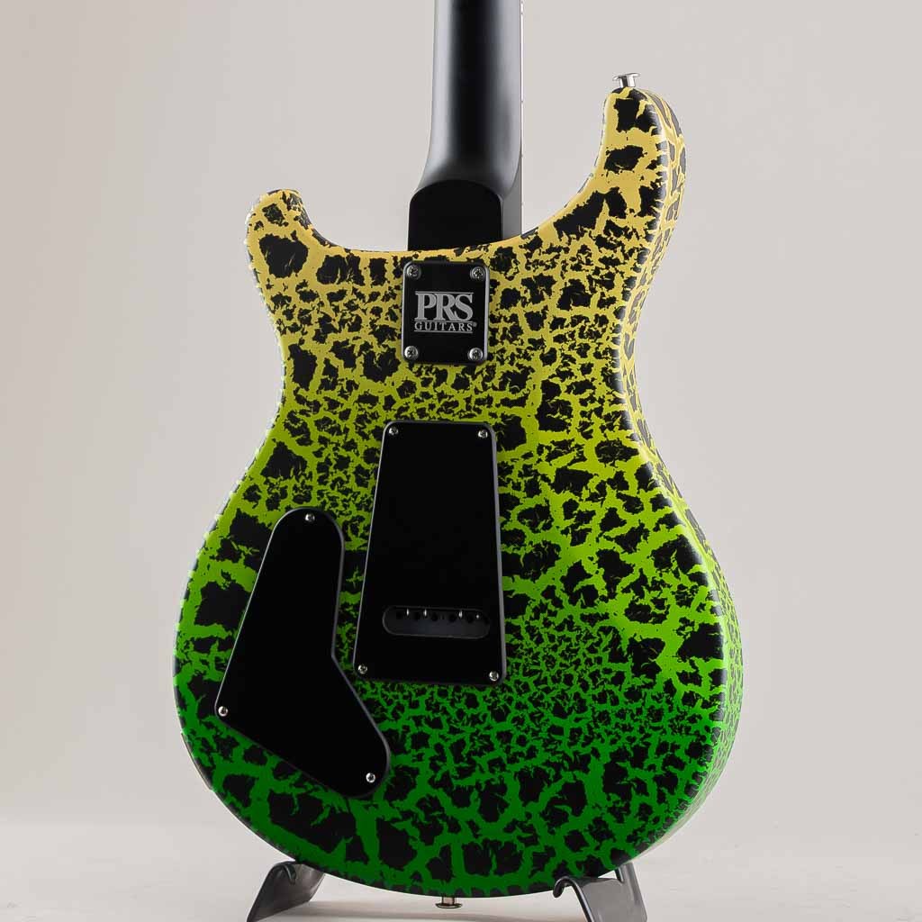 Paul Reed Smith(PRS) Swamp Ash Special Maple Sprayer's Choice 2025