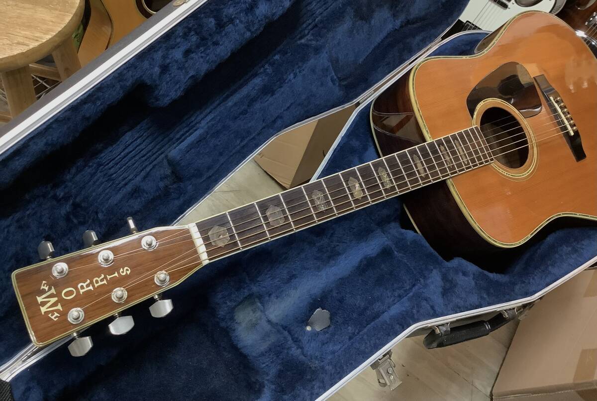 Morris TF-805 モーリス（中古）【楽器検索デジマート】