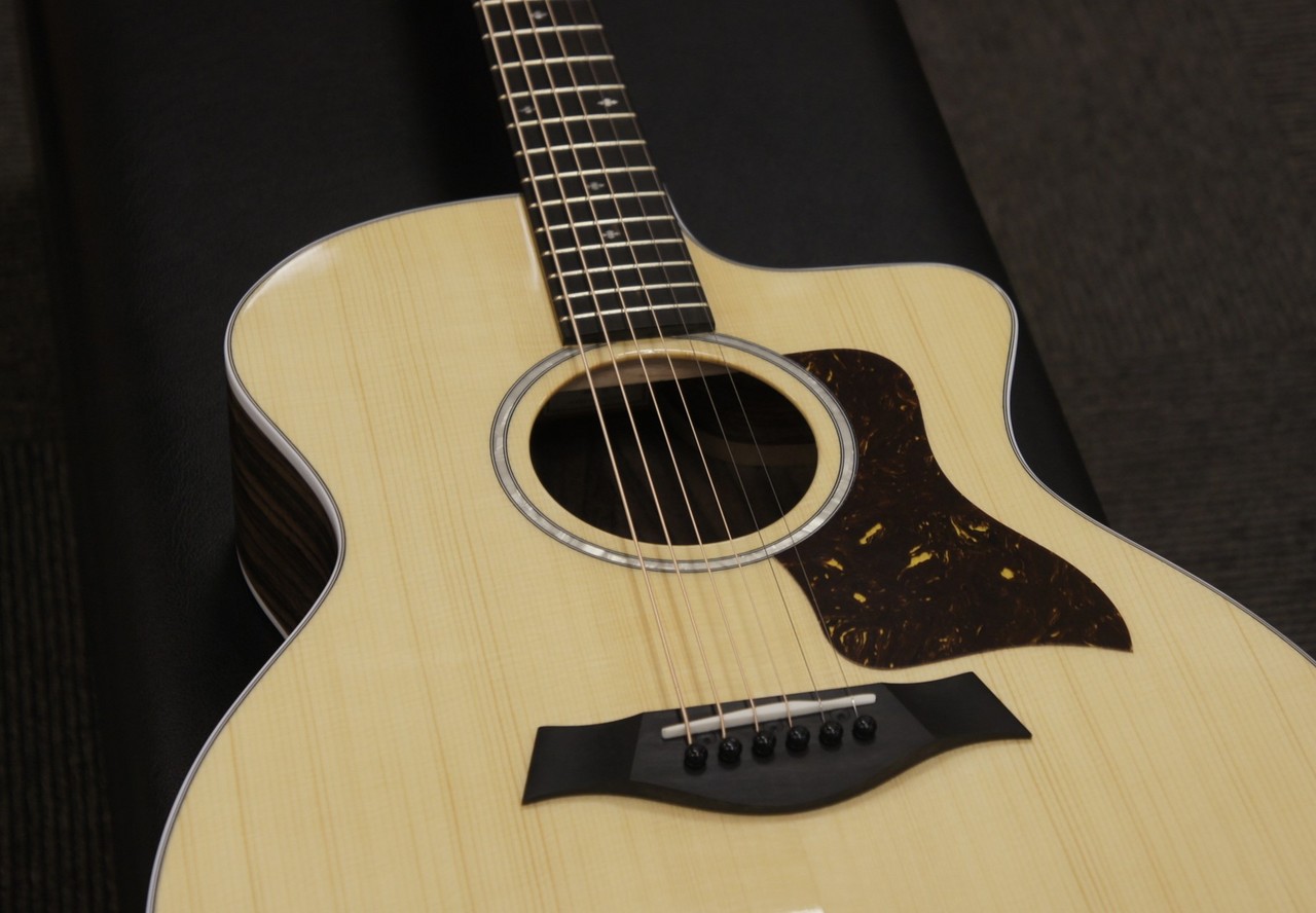 Taylor 214ce Rosewood DLX（新品/送料無料）【楽器検索デジマート】