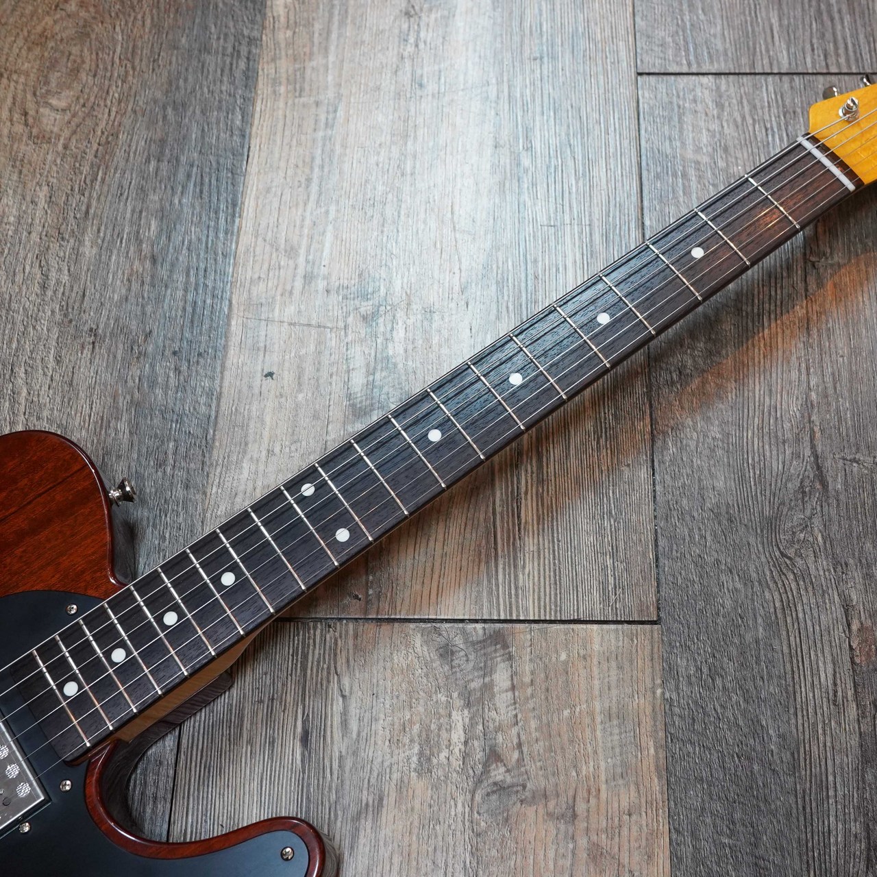 Astronauts Guitars Telescope Mahogany(新品)【楽器検索デジマート】