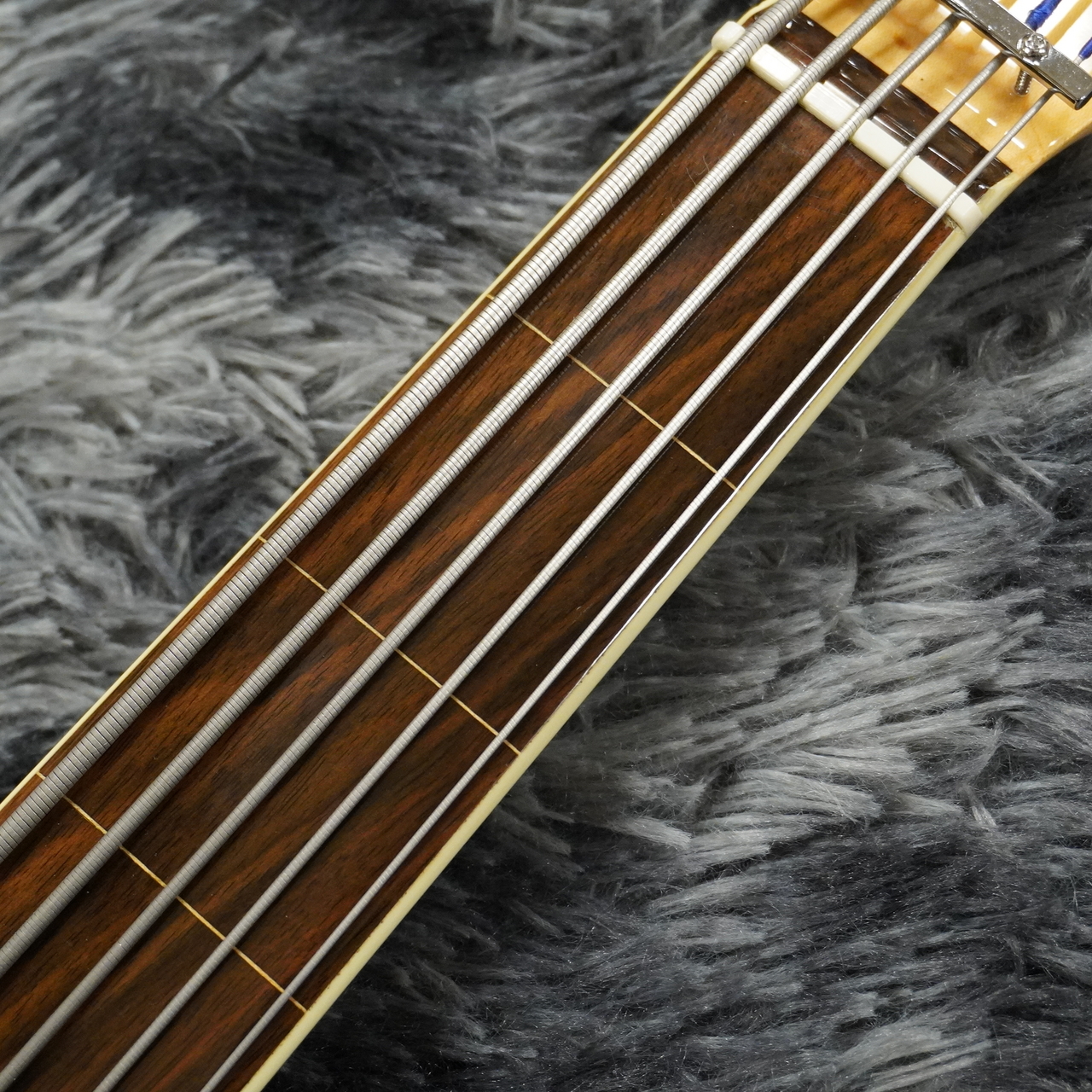 Sire Marcus Miller V7 Alder 5st FL TS -2nd Generation-【2025年製