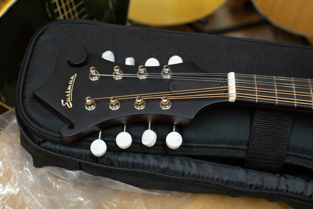 Eastman MD-315 with PU アンプに繋げる マンドリン イーストマン