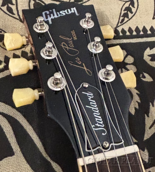 Gibson ~Japan Exclusive~ Les Paul Standard 50s Custom Shop Top