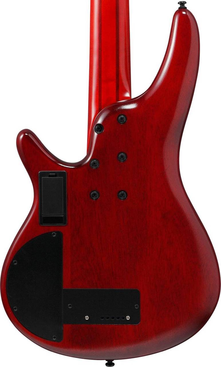 2025年7月購入 - Ibanez ５弦 フレットレスベース SRD905F Ibanez SRD905F BTL (Brown Topaz Burst Low Gloss) 5弦エレキ