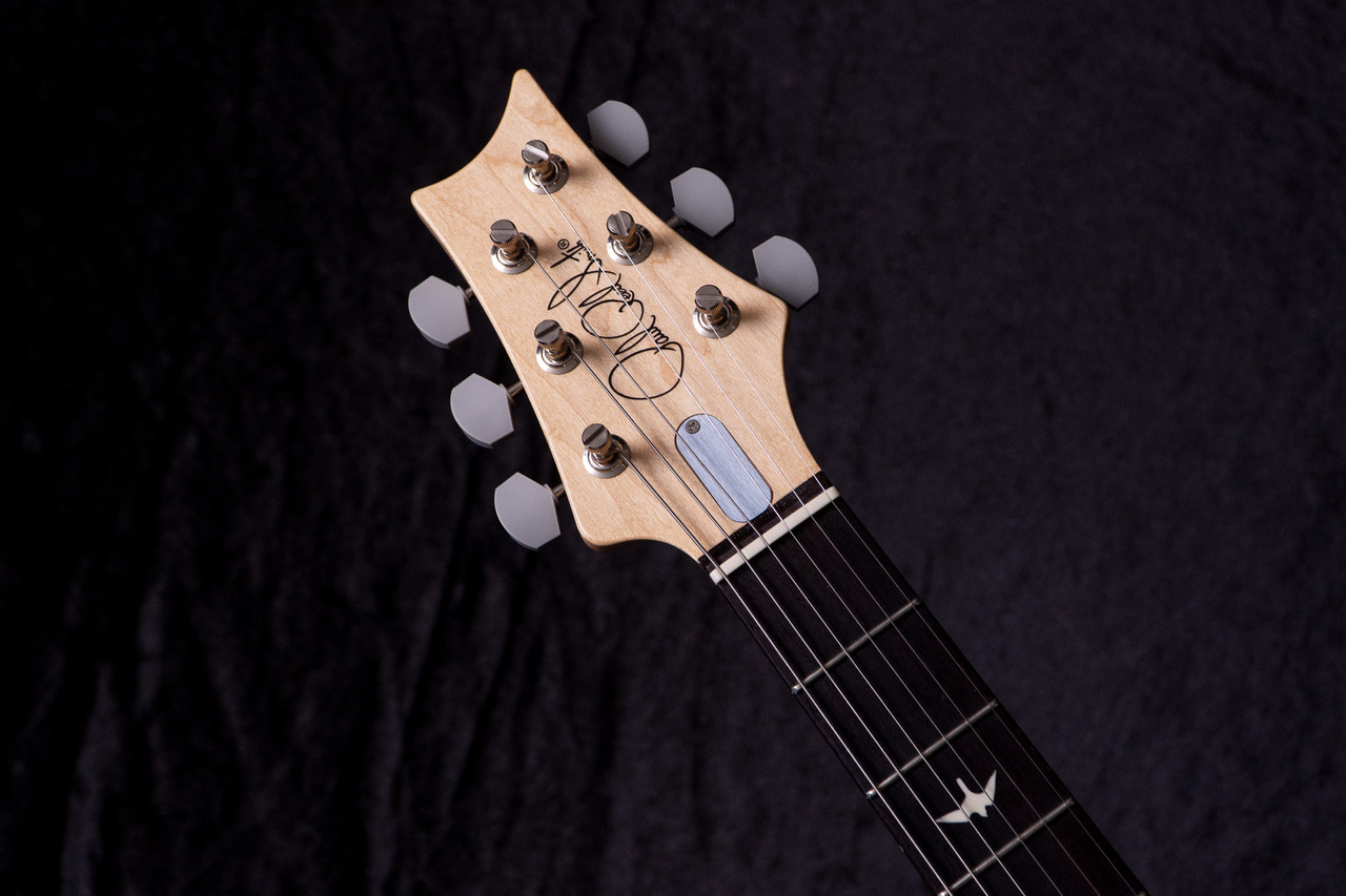 Paul Reed Smith(PRS) Silver Sky Tungsten 2024 #0389169 3.22kg