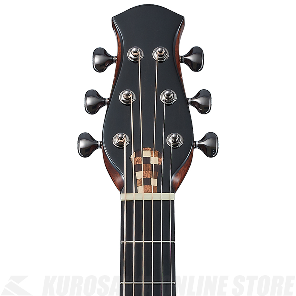 aNueNue aNN-LS Seiji Igusa《フルサイズ/21フレット》【井草聖二×杉田