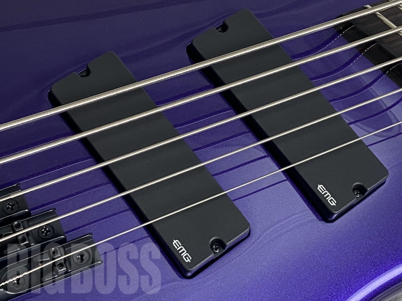 Spector NS Dimension HP 5(Plum Crazy Gloss)（新品/送料無料）【楽器 