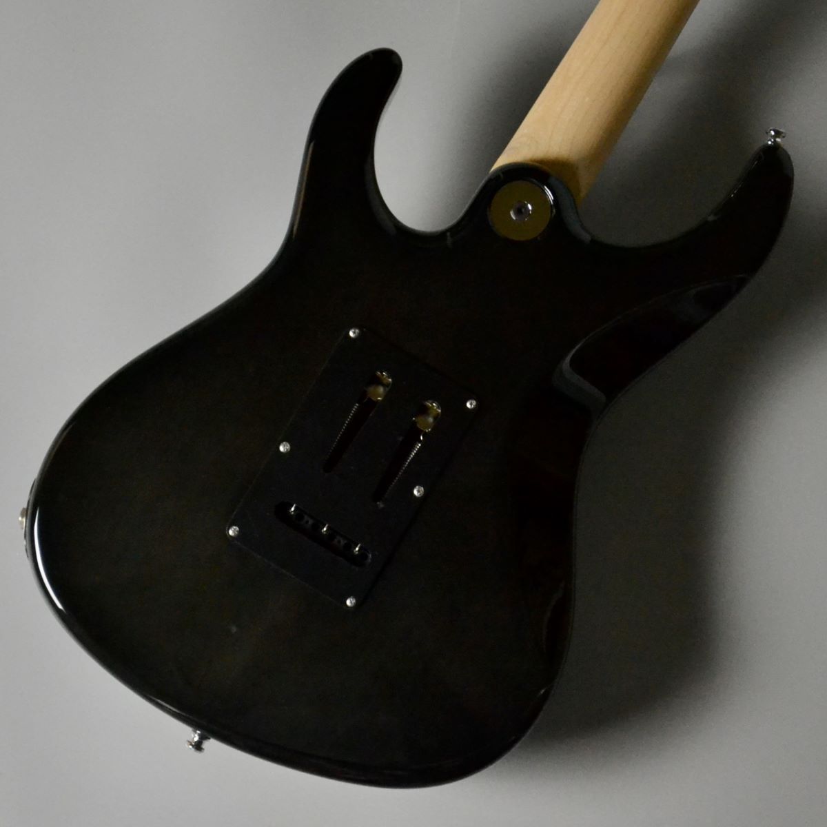 FREEDOM CUSTOM GUITAR RESEARCH Hydra Jacaranda Custom/SER(清流