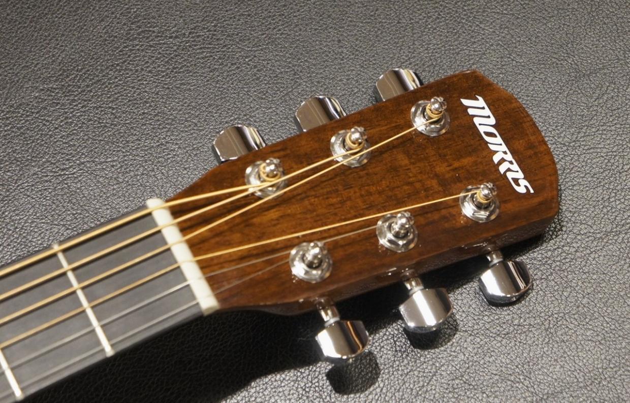 Morris LA-011 NAT -Performers Edition-（新品）【楽器検索デジマート】