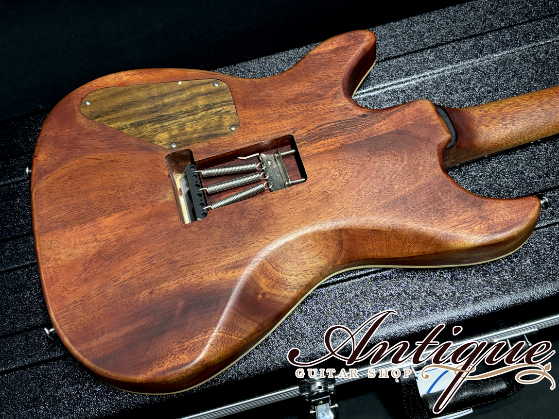 ギター Kigoshi Custom Guitar KT-Pro Kigoshi Custom Guitar KTM-Pro/F Proto 2026 Arched Top S-Hollow