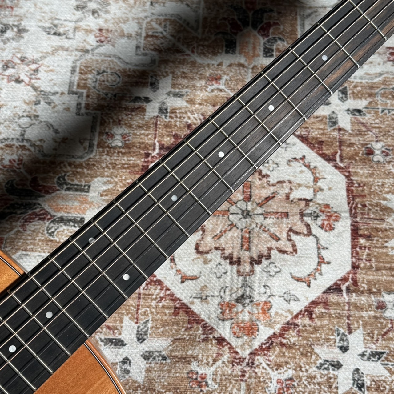 Taylor GS Mini Mahogany 【現品画像】（新品/送料無料）【楽器検索