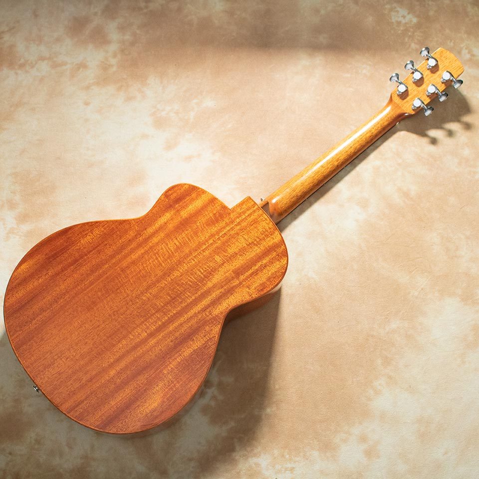 aNueNue aNN-L100E（新品/送料無料）【楽器検索デジマート】