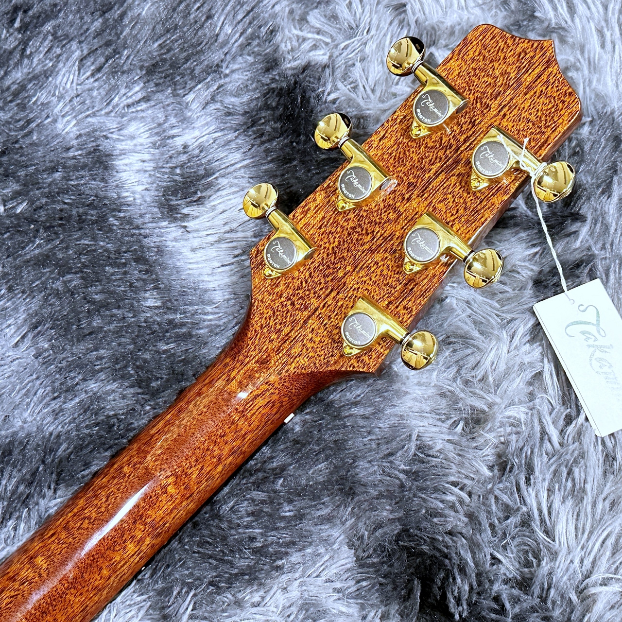 Takamine LTD2025 【限定モデル】【日本製】【エレアコ】（新品