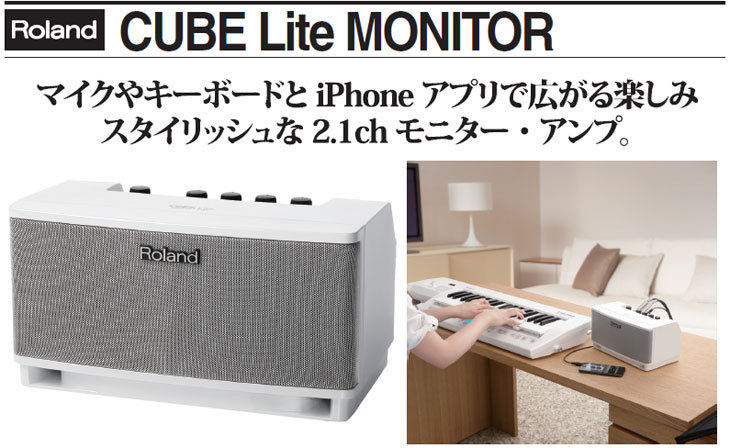 Roland CUBE Lite MONITOR 2.1chモニターアンプ -白マイクボーカリスト ...