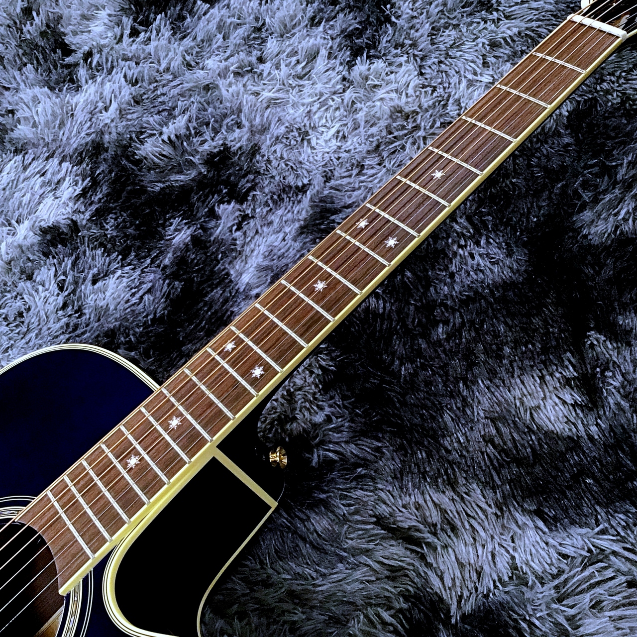 Takamine DMP552C DBS【チョイキズ特価】【2025年製】【日本製