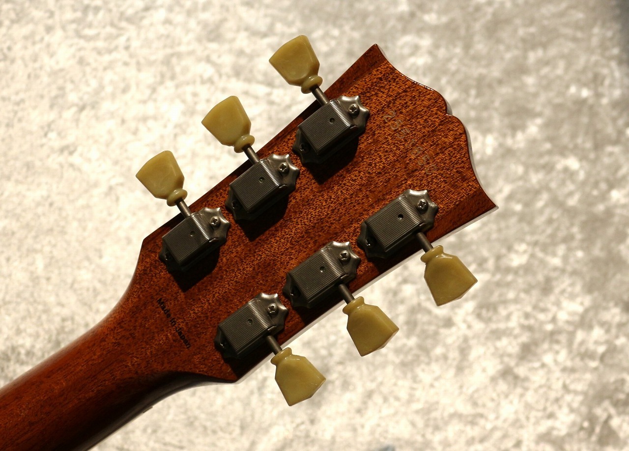 Tokai 【特注!】【漆黒ハカランダ指板!】LS366S/WA-CM ~Gold Top