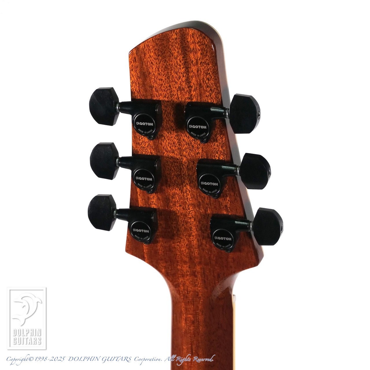 Kikuchi Guitars MF15S 2HB Imbuia Burl（新品）【楽器検索デジマート】